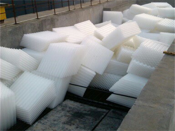 src=http___image src=http___image