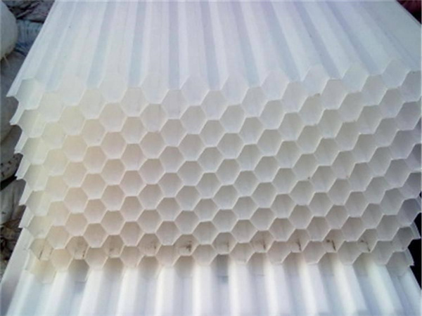 2021817王 2021817王